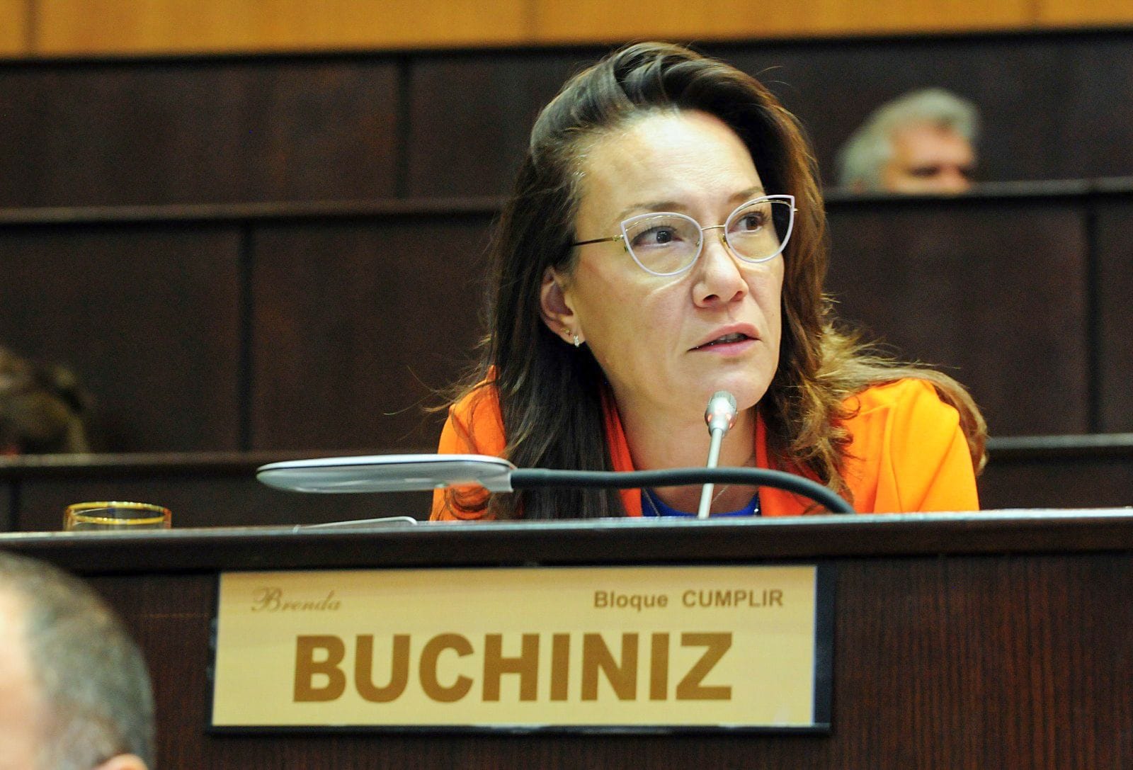 Brenda Buchiniz habla ante el micrófono desde su banca del bloque Cumplir en la Legislatura.
